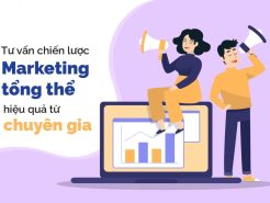 Tư Vấn Marketing Tổng Thể