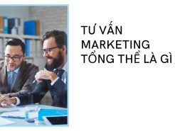 Marketing tổng thể